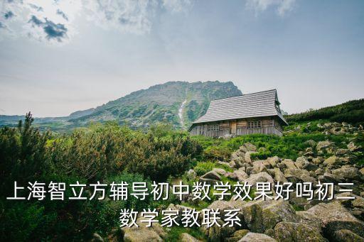 上海智立方輔導初中數學效果好嗎初三數學家教聯系