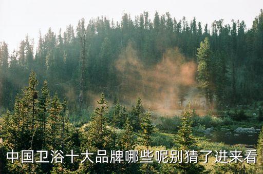 中國衛浴十大品牌哪些呢別猜了進來看