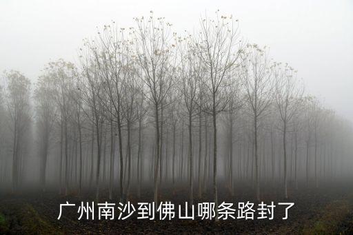 廣州南沙到佛山哪條路封了