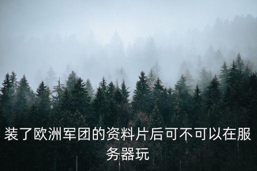 裝了歐洲軍團的資料片后可不可以在服務(wù)器玩
