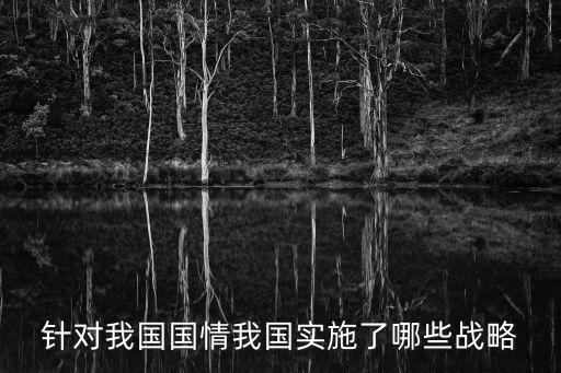 針對我國國情我國實施了哪些戰(zhàn)略