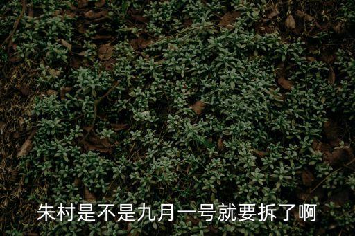 朱村是不是九月一號就要拆了啊