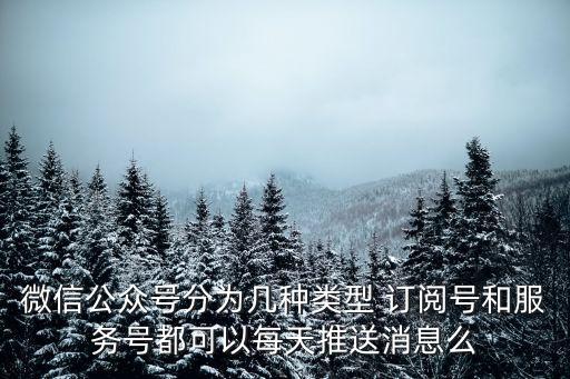 微信公眾號(hào)分類，微信公眾號(hào)分為幾種類型 訂閱號(hào)和服務(wù)號(hào)都可以每天推送消息么
