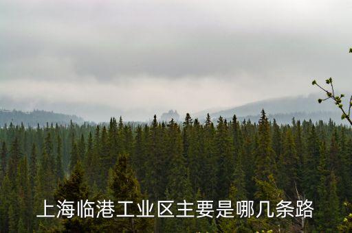 上海臨港工業區主要是哪幾條路