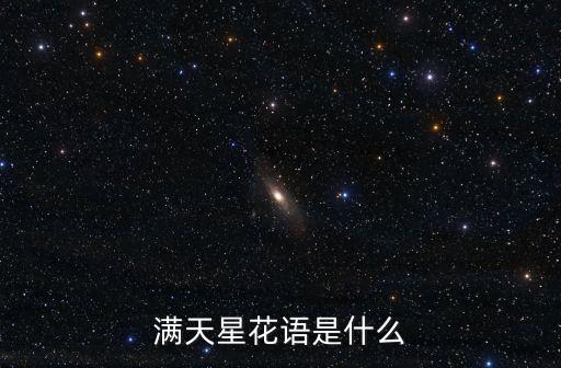 滿天星花語是什么