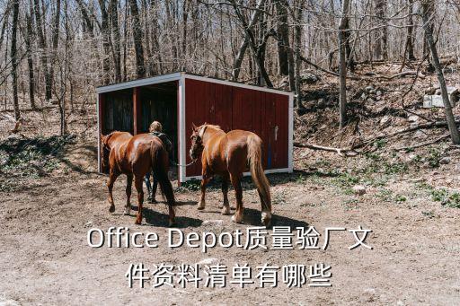 Office Depot質量驗廠文件資料清單有哪些