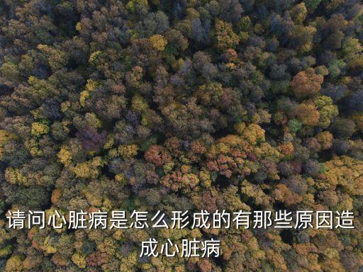 心臟病是什么原因引起的，請問心臟病是怎么形成的有那些原因造成心臟病