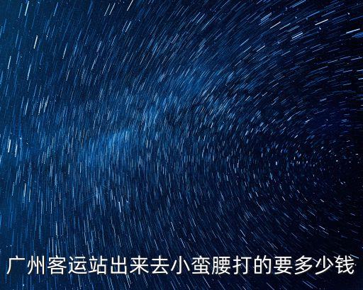 小蠻腰到廣州塔打車多少錢，廣州客運站出來去小蠻腰打的要多少錢