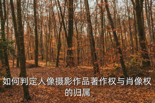 人像攝影作品，當前什么樣的人像攝影作品最受歡迎