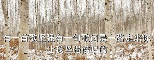 有一首歌堅強有一句歌詞是一路走來你讓我堅強誰唱的