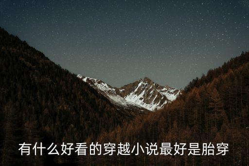 有什么好看的穿越小說最好是胎穿