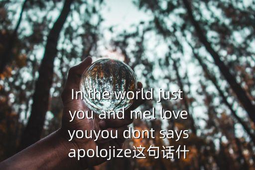 In the world just you and mel love youyou dont says apolojize這句話什