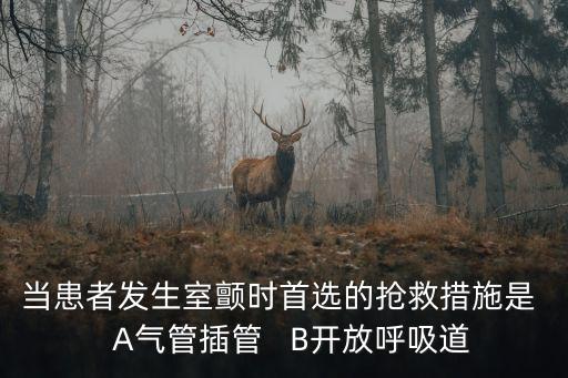 當患者發生室顫時首選的搶救措施是   A氣管插管   B開放呼吸道