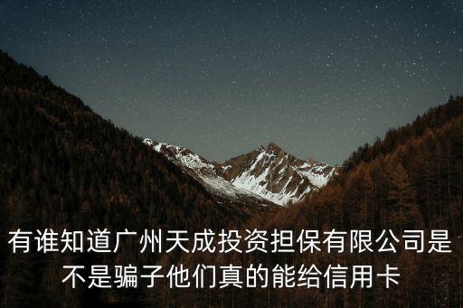 有誰知道廣州天成投資擔保有限公司是不是騙子他們真的能給信用卡