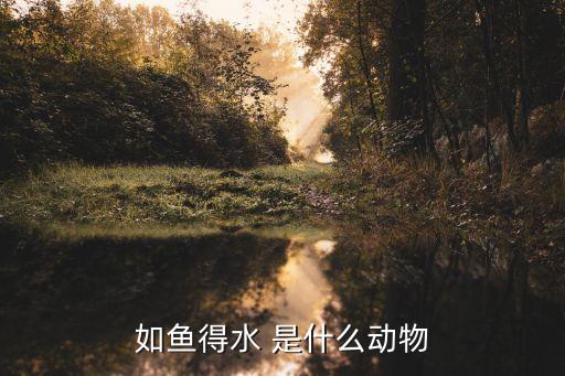 如魚得水意思，如魚得水的近義詞和反義詞