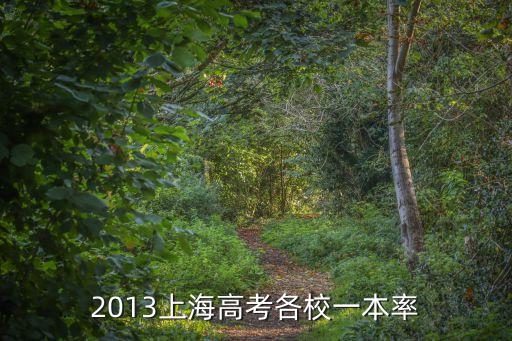 上海市南洋中學(xué)高考一本率，上海交大南洋中學(xué)的升本率聽說有95是真的嗎