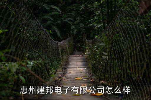 惠州建邦電子有限公司怎么樣