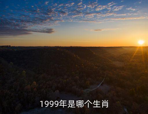 99年屬什么生肖，1999年是哪個生肖