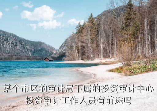 上海市審計局投資一處，去審計局投資審計中心搞工程投資審計工作