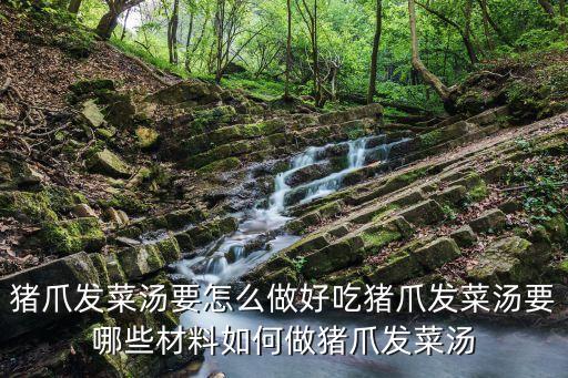 發(fā)菜豬手，豬爪發(fā)菜湯要怎么做好吃豬爪發(fā)菜湯要哪些材料如何做豬爪發(fā)菜湯
