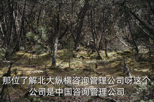 北大縱橫，內蒙古北大縱橫管理咨詢有限責任公司