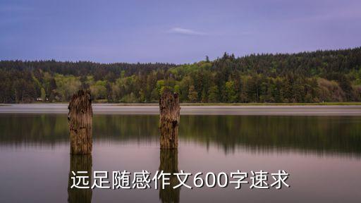 遠(yuǎn)足感悟，遠(yuǎn)足感想200字