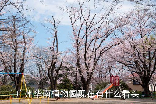 廣州華南植物園現(xiàn)在有什么看頭