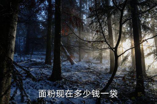 廣州小麥粉多少錢一袋，穗嘉豐面粉現在市場價多少錢一包