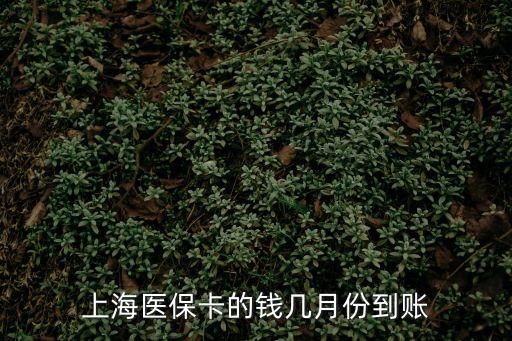 上海醫(yī)保卡的錢幾月份到賬