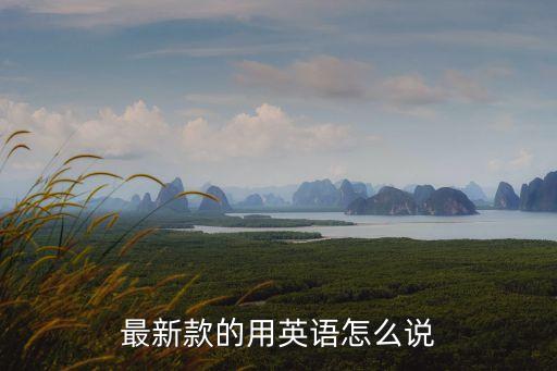 最新款的用英語怎么說