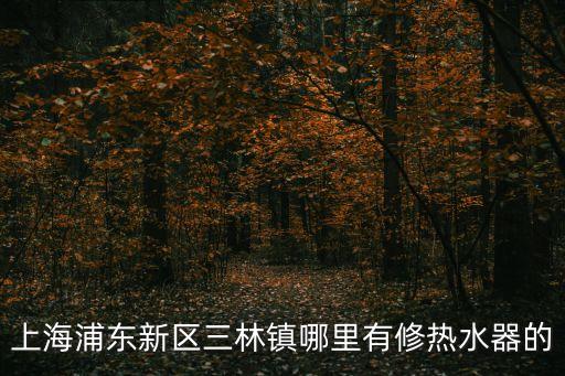上海浦東新區三林鎮哪里有修熱水器的