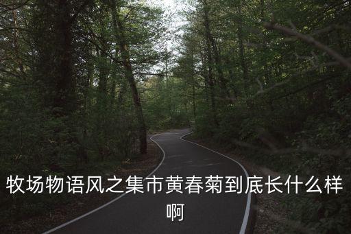 牧場(chǎng)物語(yǔ)風(fēng)之集市黃春菊到底長(zhǎng)什么樣啊