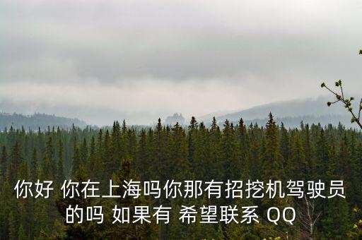 上海市挖掘機(jī)招聘信息，你好 你在上海嗎你那有招挖機(jī)駕駛員的嗎 如果有 希望聯(lián)系 QQ