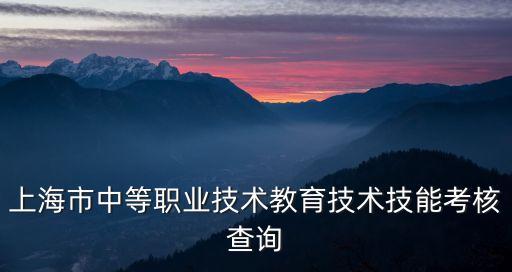 上海市中職學(xué)業(yè)水平考查詢，如何查詢中職學(xué)業(yè)水平考試成績有準(zhǔn)考證號