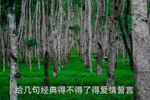 給幾句經(jīng)典得不得了得愛情誓言