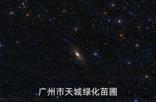 廣州澳洲茶樹苗，廣東有茶樹苗賣么