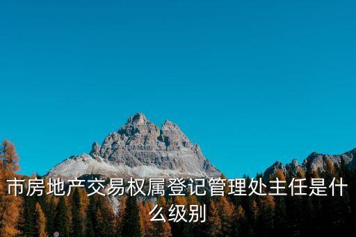 上海市房管局行政級別，市房地產(chǎn)交易權(quán)屬登記管理處主任是什么級別