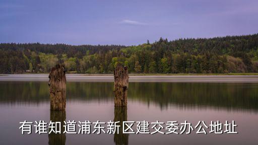 上海市建交委 epc，上海建交委發的特殊工種操作證網上能查詢證書真偽嗎網址是什么