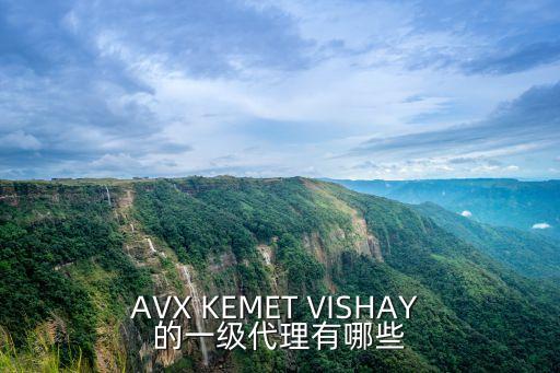 美孚上海市一級代理商，埃克森美孚化工商務(wù)上海有限公司電話是紫星路1099號的