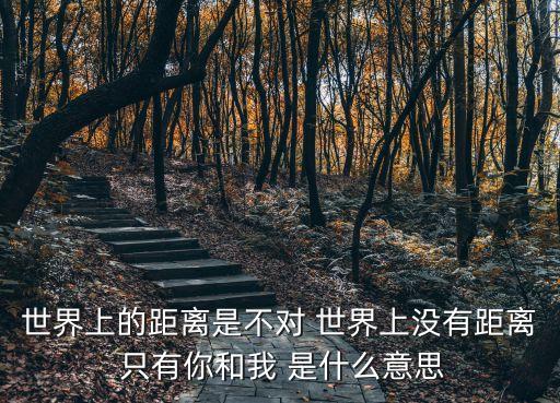 只有你和我，世界上的距離是不對 世界上沒有距離 只有你和我 是什么意思