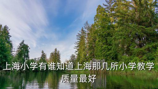 上海市百?gòu)?qiáng)中小學(xué)，上海小學(xué)有誰(shuí)知道上海那幾所小學(xué)教學(xué)質(zhì)量最好