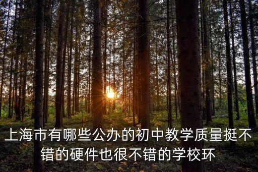 上海市公立學校怎么樣，上海市有哪些公辦的初中教學質量挺不錯的硬件也很不錯的學校環