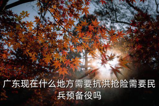 廣東現(xiàn)在什么地方需要抗洪搶險需要民兵預(yù)備役嗎