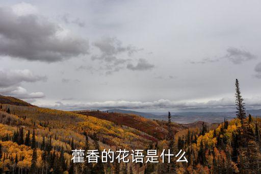 藿香的花語是什么