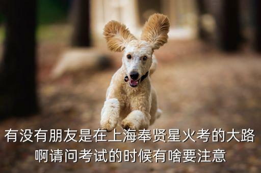 上海市星火考點，上海奉賢的星火科目三有幾條線路