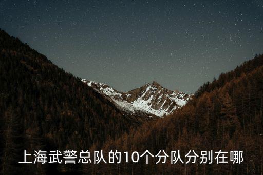 武警上海市總隊(duì)現(xiàn)在結(jié)構(gòu)調(diào)整，上海武警總隊(duì)有幾個(gè)支隊(duì)