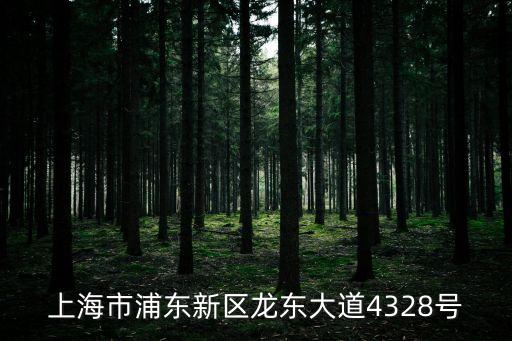 上海市跆協，加入跆拳道協會成為會員以后有什么好處