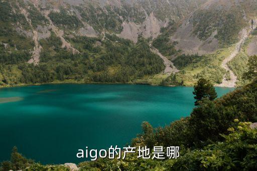 aigo是什么牌子，愛國者aigo是哪國的