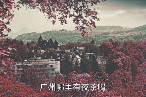 廣州哪里有夜茶喝