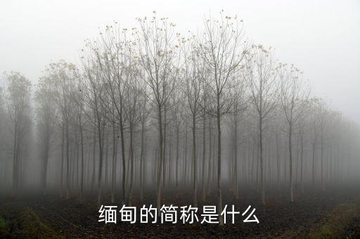緬甸的簡稱是什么